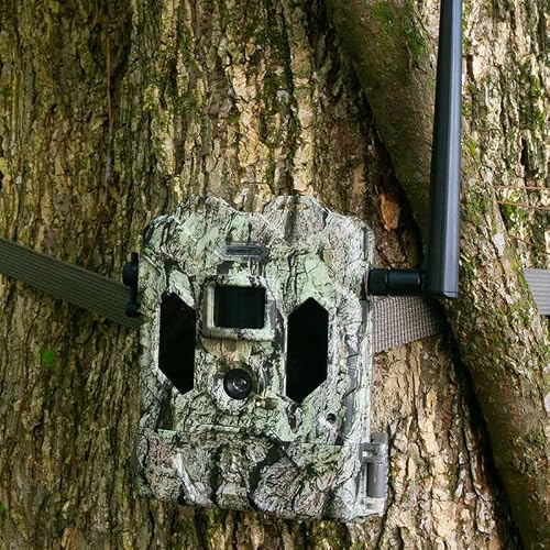 Bushnell Cellucore Live Cellular Trail Camera, Dual SIM Connectivity Cellular Game Camera with Live Streaming Video and Images, Works with OnX Hunt