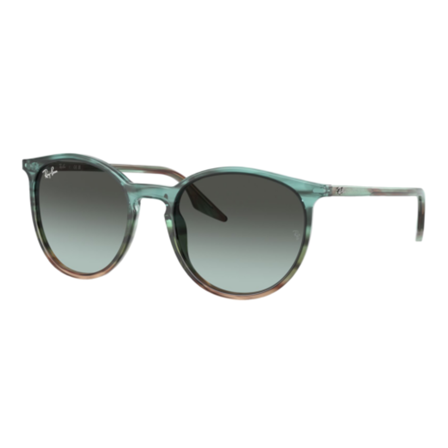 RAY-BAN RB2204 SUNGLASSES