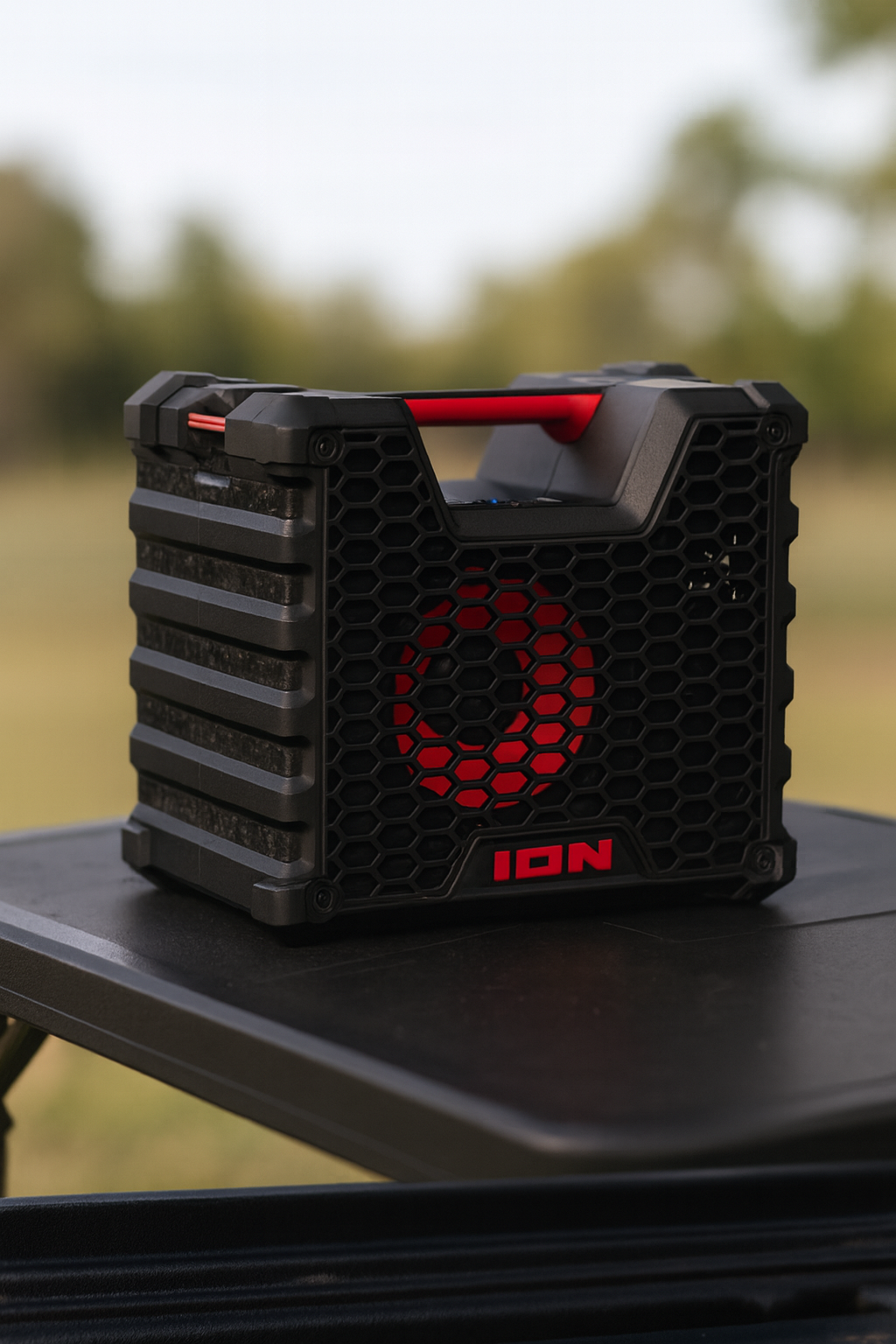 ION