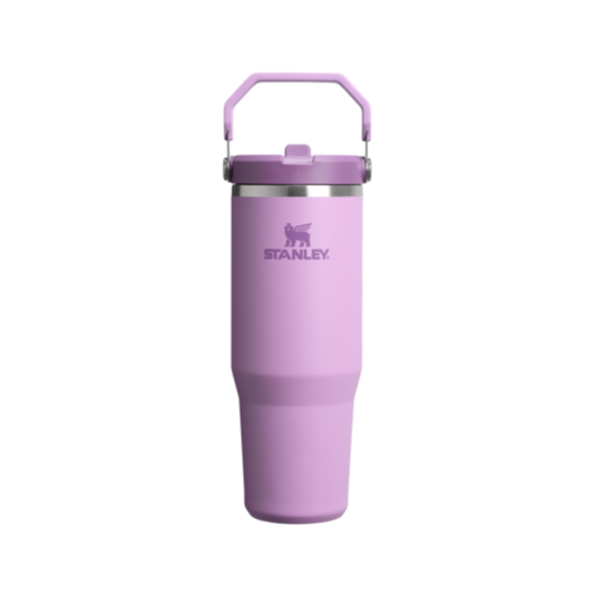 STANLEY THE ICEFLOW FLIP STRAW TUMBLER 30OZ