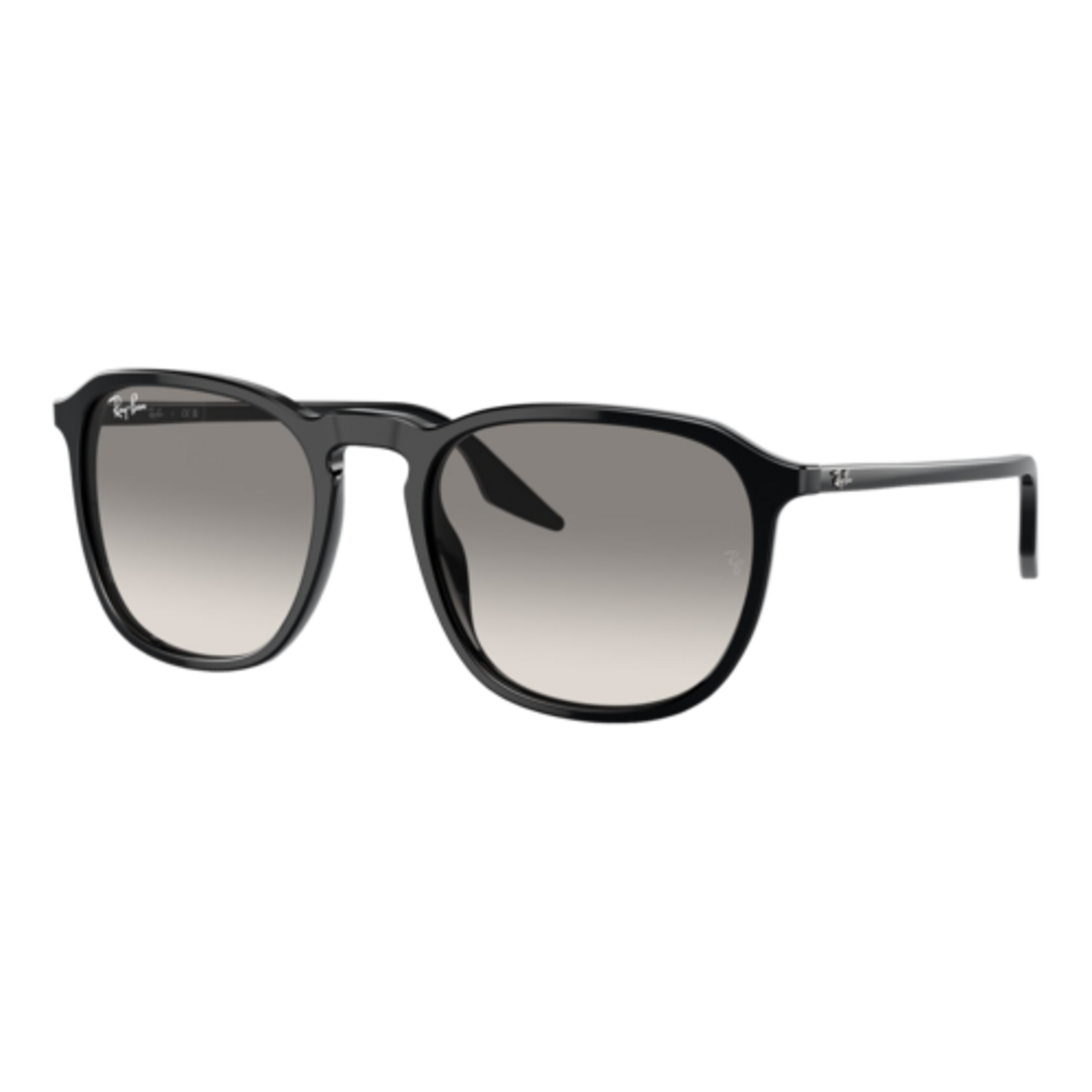 RAY-BAN RB2203 SUNGLASSES