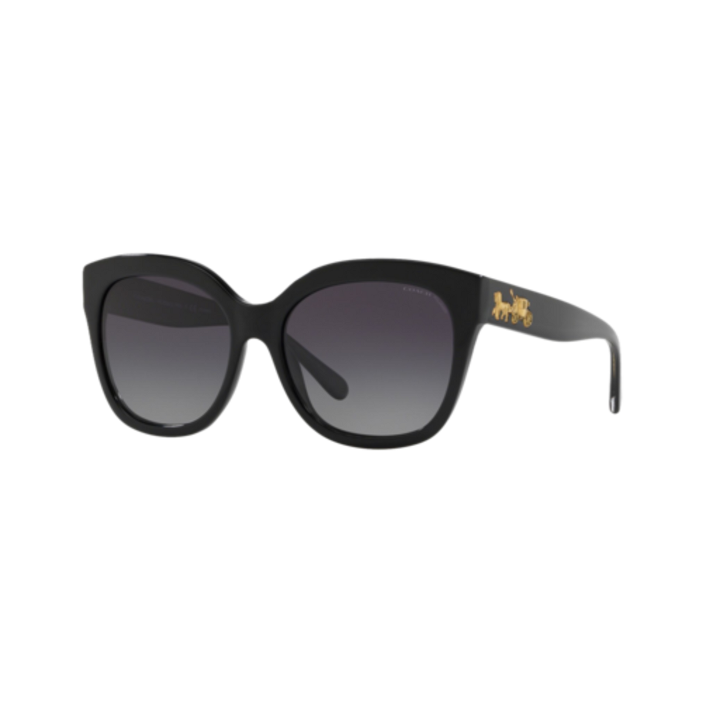COACH WOMEN'S POLARIZED HC8264 SUNGLASSES