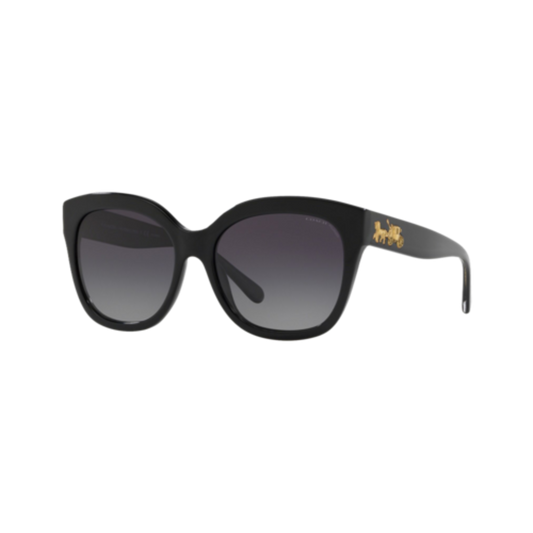 COACH WOMEN'S POLARIZED HC8264 SUNGLASSES