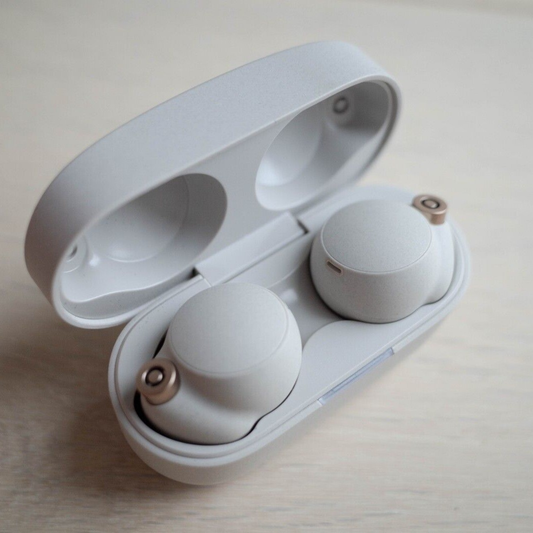TRUE WIRELESS NOISE CANCELLING EARBUDS - (SILVER)