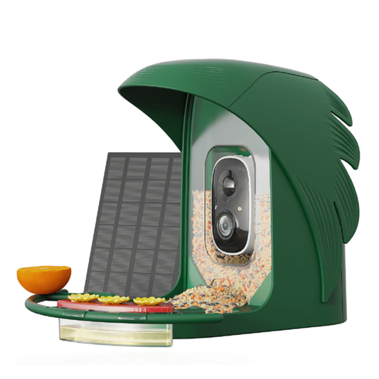 BIRD FEEDER W/CAMERA MGN