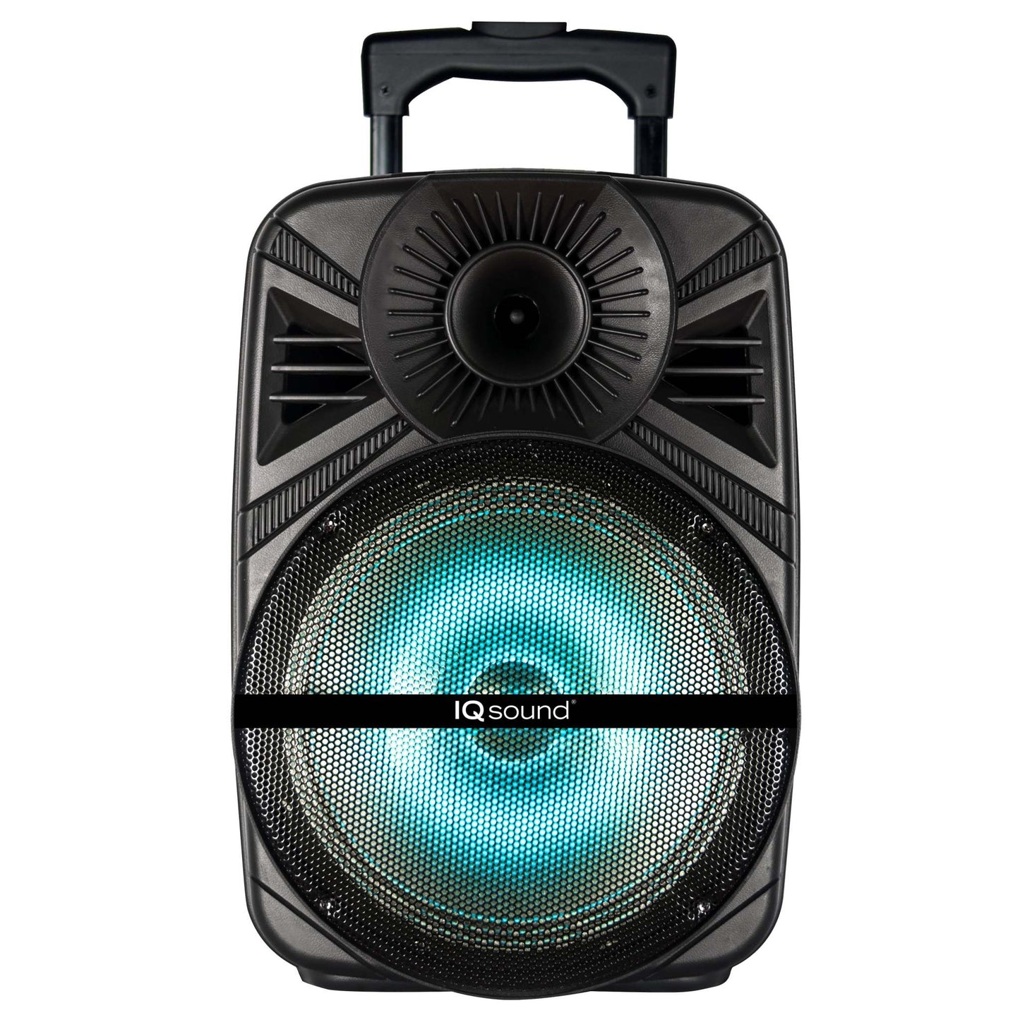 12" PORTABLE BLUETOOTH SPEAKER W/ TWS