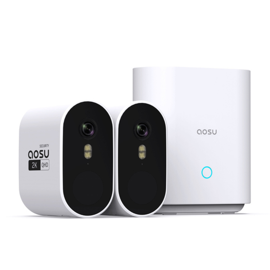 TRUE 2K SEC 2CAM HOME SYS