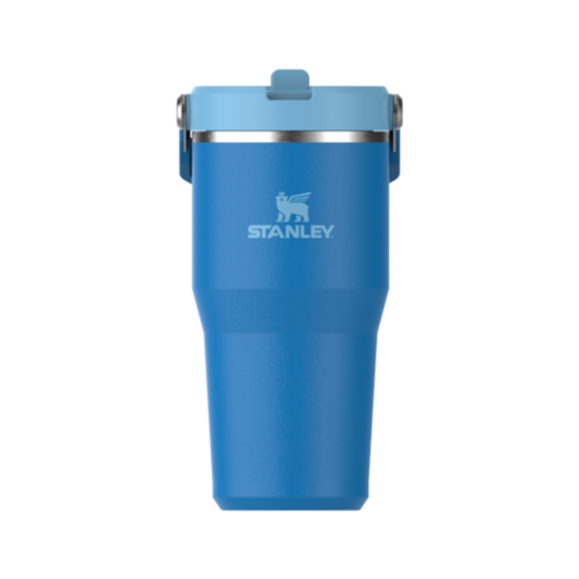 STANLEY THE ICEFLOW FLIP STRAW TUMBLER 20OZ