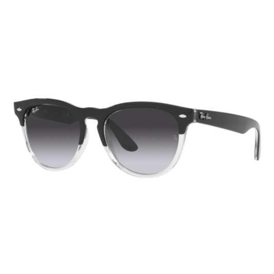 RAY-BAN WOMEN'S IRIS SUNGLASSES