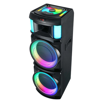 2 X 12" PRO DJ PARTY SPEAKER