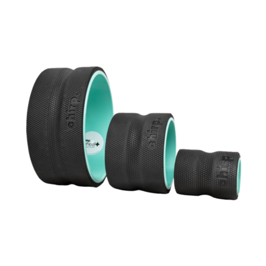 CHIRP WHEEL+ 3-PACK