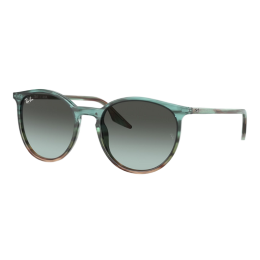 RAY-BAN RB2204 SUNGLASSES