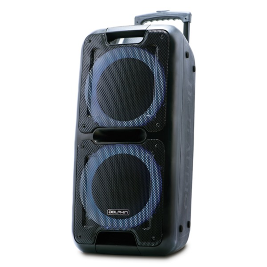 DL 10IN RCHGBL PARTY SPKR