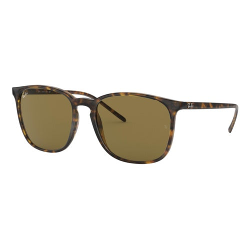 RAY-BAN RB4387 SUNGLASSES