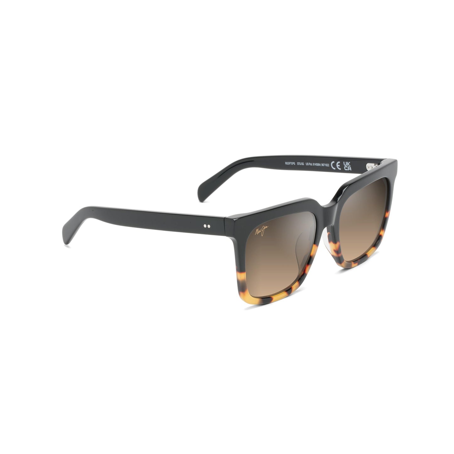 ROOFTOPS POLARIZED SUNGLASSES