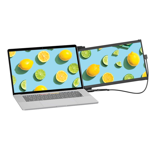 DUEX MAX DS MONITOR