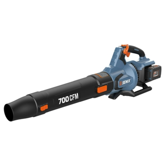 BLOWER, BATTERY, AND DUAL PORT CHARGER, BLUE