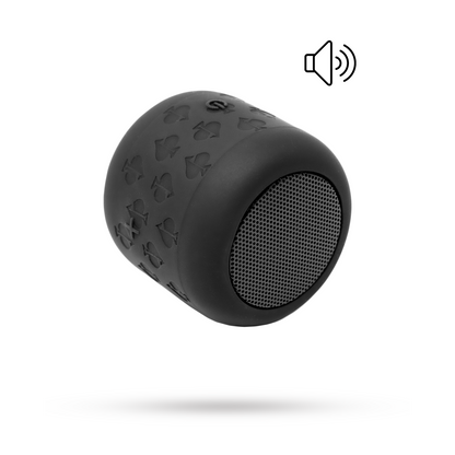 THE SPADE SPEAKER