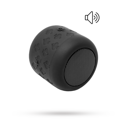 THE SPADE SPEAKER