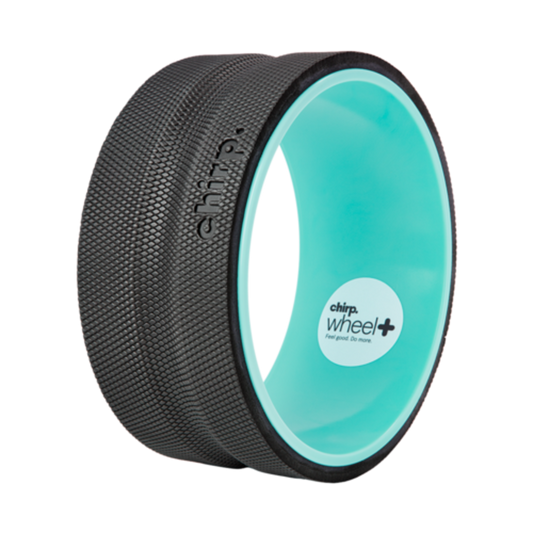 CHIRP WHEEL+ 10-INCH FIRM