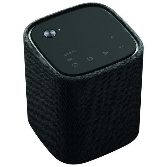 TRUE X SPEAKER 1A