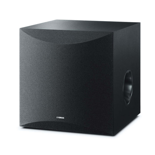 10" 100W SUBWOOFER